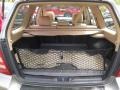 Champagne Gold Opalescent - Forester 2.5 XS L.L.Bean Edition Photo No. 17