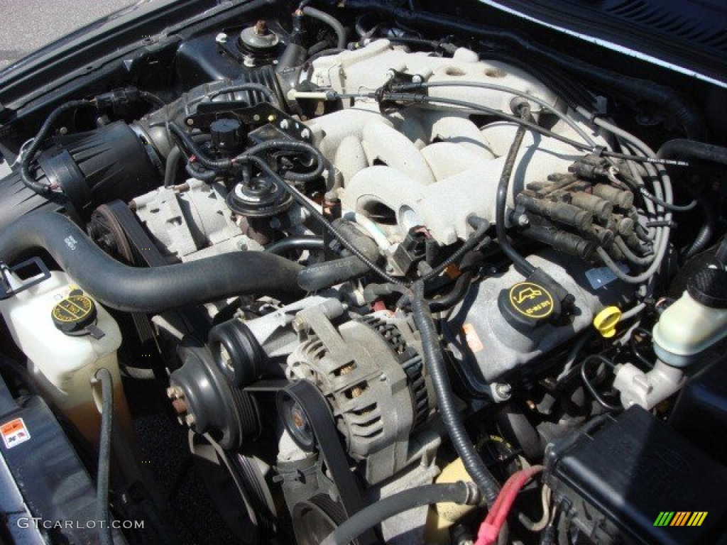 2003 Mustang V6 Convertible - True Blue Metallic / Medium Parchment photo #23