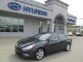 2011 Pacific Blue Pearl Hyundai Sonata Limited  photo #1
