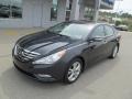 2011 Pacific Blue Pearl Hyundai Sonata Limited  photo #2
