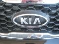 2013 Ebony Black Kia Sorento EX AWD  photo #25