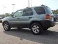 Titanium Green Metallic - Escape XLT V6 4WD Photo No. 3