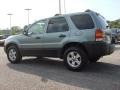 2007 Titanium Green Metallic Ford Escape XLT V6 4WD  photo #3