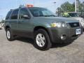 2007 Titanium Green Metallic Ford Escape XLT V6 4WD  photo #6