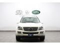 Arctic White - GL 450 4Matic Photo No. 3
