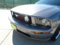 2006 Tungsten Grey Metallic Ford Mustang GT Premium Coupe  photo #11