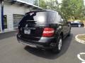 Black - ML 350 4Matic Photo No. 11