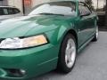 1999 Electric Green Metallic Ford Mustang SVT Cobra Convertible  photo #9