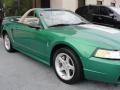 1999 Electric Green Metallic Ford Mustang SVT Cobra Convertible  photo #18