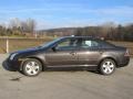 2006 Charcoal Beige Metallic Ford Fusion SE V6  photo #2