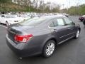 Nebula Gray Pearl - ES 350 Photo No. 4