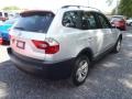 Titanium Silver Metallic - X3 3.0i Photo No. 4