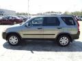 Pewter Pearl - CR-V EX 4WD Photo No. 11