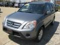 Pewter Pearl - CR-V SE 4WD Photo No. 1