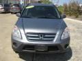Pewter Pearl - CR-V SE 4WD Photo No. 2