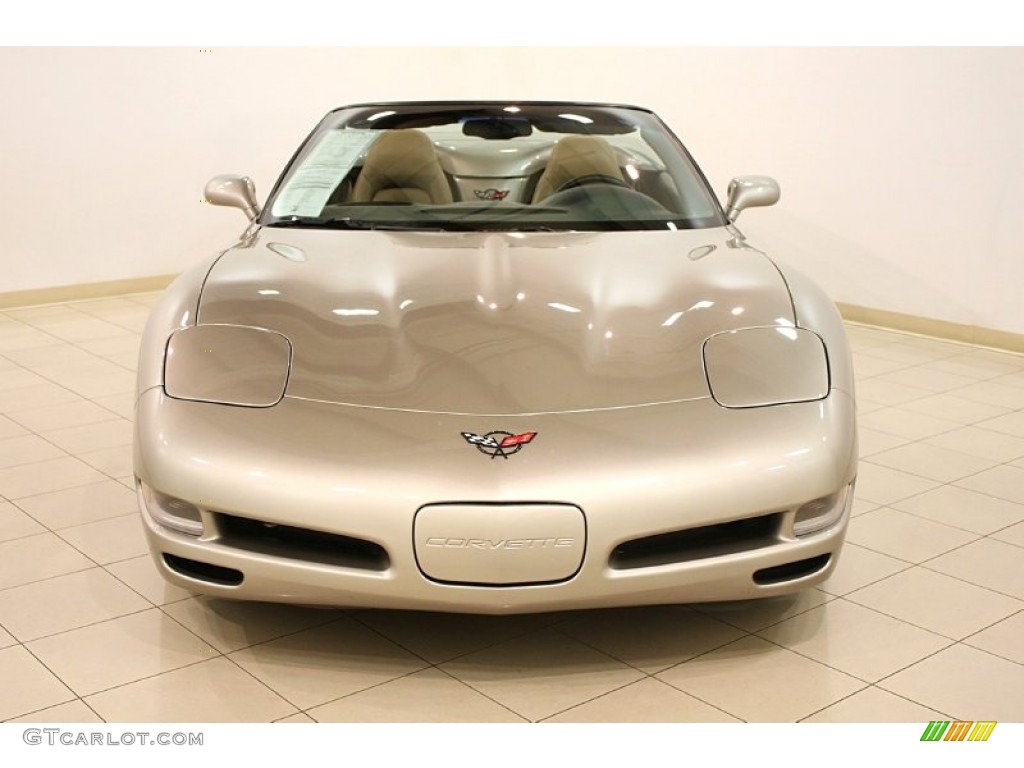1999 Corvette Convertible - Light Pewter Metallic / Light Oak photo #3