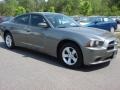 Tungsten Metallic - Charger SE Photo No. 7