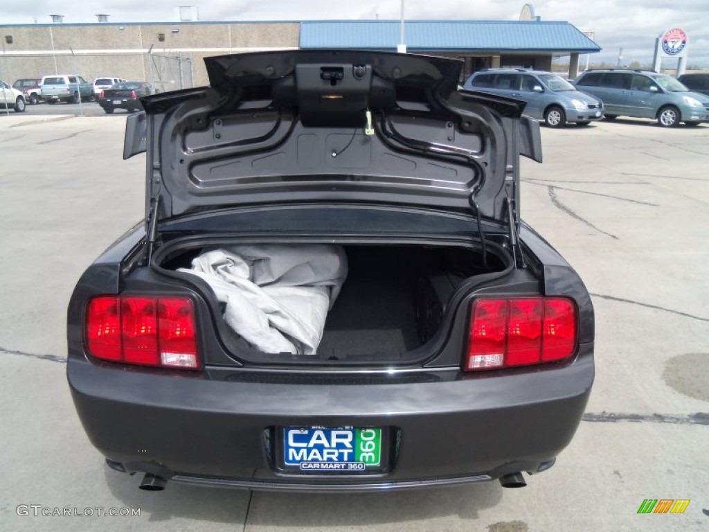 2007 Mustang GT Premium Coupe - Alloy Metallic / Dark Charcoal photo #25