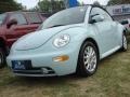 Aquarius Blue - New Beetle GLS Convertible Photo No. 1