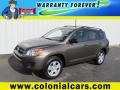 Pyrite Metallic - RAV4 I4 4WD Photo No. 1