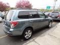 2009 Sage Green Metallic Subaru Forester 2.5 X  photo #8