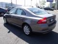 Oyster Gray Metallic - S80 3.2 Photo No. 5