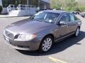 Oyster Gray Metallic - S80 3.2 Photo No. 7