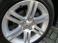 Tungsten Metallic - Charger Rallye Photo No. 9