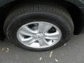 Ashen Gray Metallic - Impala LS Photo No. 9