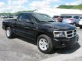 Brilliant Black Crystal Pearl - Dakota Big Horn Extended Cab 4x4 Photo No. 5