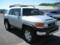Titanium Metallic - FJ Cruiser 4WD Photo No. 5