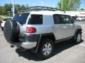 Titanium Metallic - FJ Cruiser 4WD Photo No. 7