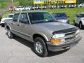Light Pewter Metallic - S10 LS Crew Cab 4x4 Photo No. 9
