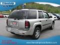 Silverstone Metallic - TrailBlazer LS 4x4 Photo No. 6