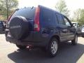 2003 Eternal Blue Pearl Honda CR-V EX 4WD  photo #8
