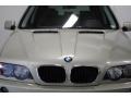 2002 Pearl Beige Metallic BMW X5 3.0i  photo #5