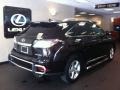 2010 Obsidian Black Lexus RX 350 AWD  photo #2