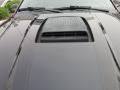 Black - Mustang Mach 1 Coupe Photo No. 9
