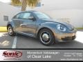 Platinum Gray Metallic - Beetle 2.5L Photo No. 1