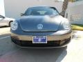 Platinum Gray Metallic - Beetle 2.5L Photo No. 2