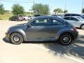 Platinum Gray Metallic - Beetle 2.5L Photo No. 4
