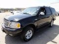 Black Clearcoat - Expedition XLT 4x4 Photo No. 2