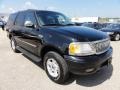 Black Clearcoat - Expedition XLT 4x4 Photo No. 5