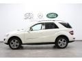 Arctic White - ML 350 4Matic Photo No. 2