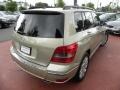Pearl Beige Metallic - GLK 350 Photo No. 14