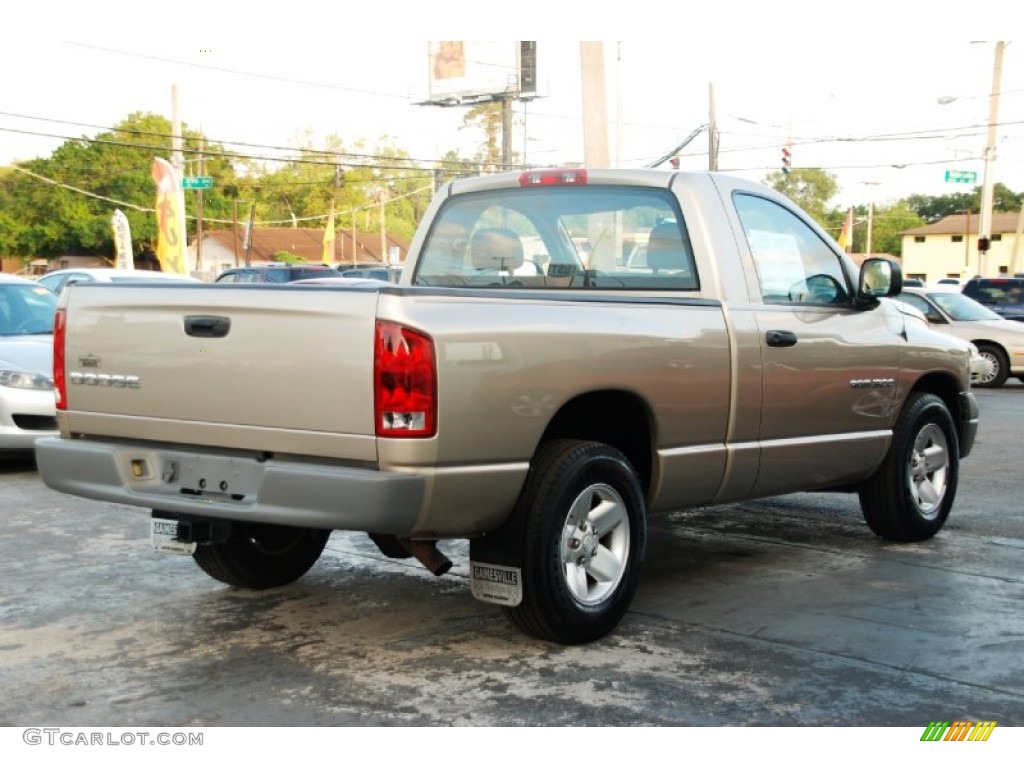 2004 Ram 1500 ST Regular Cab - Light Almond Pearl / Dark Slate Gray photo #11