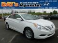 Shimmering White - Sonata GLS Photo No. 1