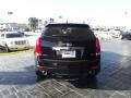Black Raven - SRX Performance Photo No. 8