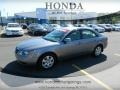 Steel Gray - Sonata GLS V6 Photo No. 1