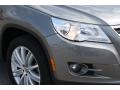 Alpine Grey Metallic - Tiguan Wolfsburg Edition Photo No. 7
